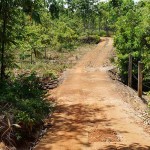 road leading to plantation mansion(5)